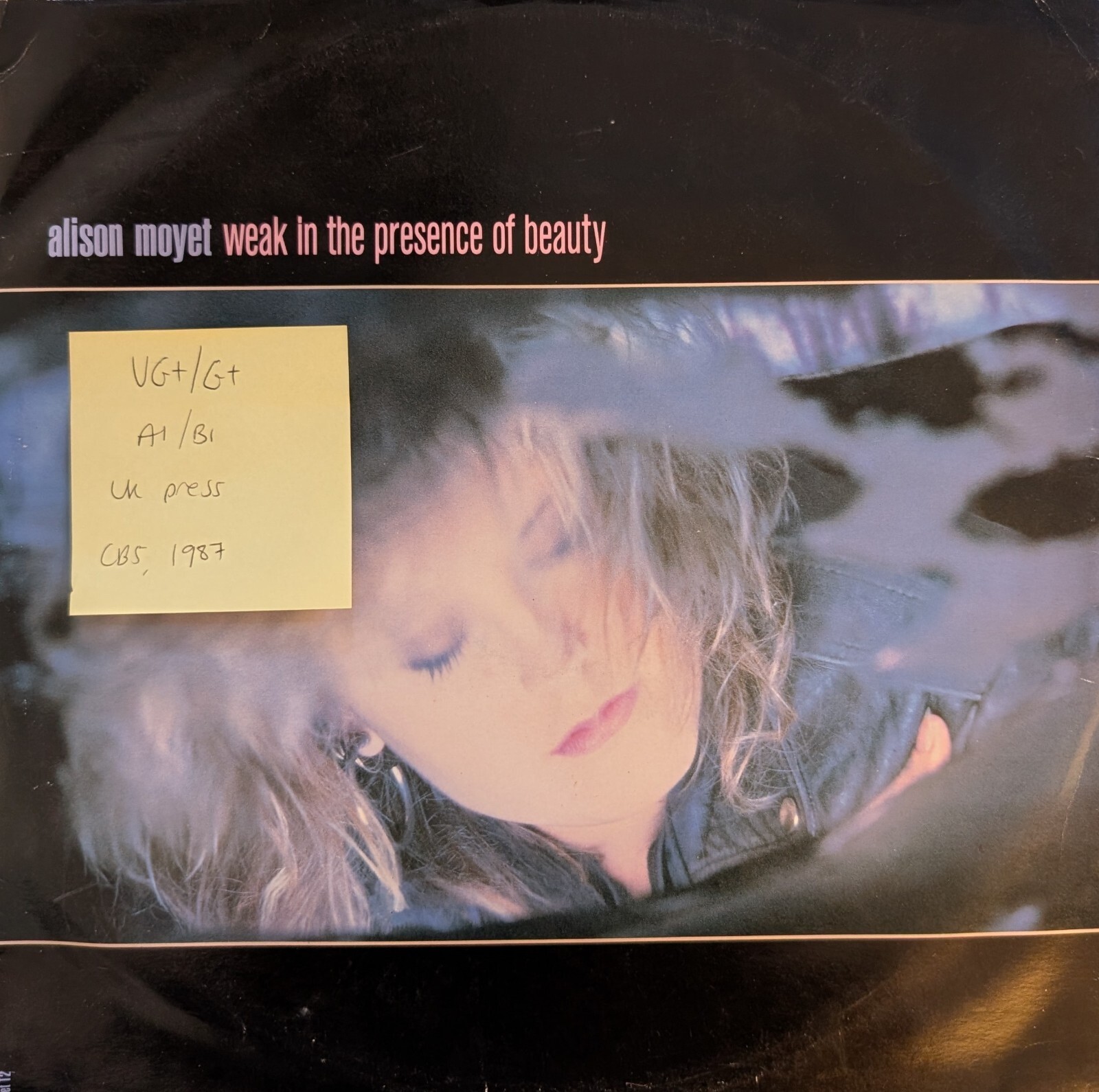 Alison Moyet Weak In The Presence Of Beauty Vinyl Record 12" VG+/G+ MOYETT2 1987 vinyl record sleeve Alison Moyet Weak In The Presence Of Beauty Vinyl Record 12" VG+/G+ MOYETT2 1987 sleeve