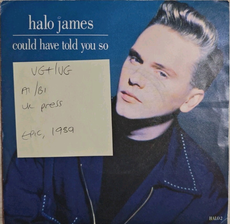 Halo James Could Have Told You So Vinyl Record VG+/VG HALO 2 1989 vinyl record sleeve Halo James Could Have Told You So Vinyl Record VG+/VG HALO 2 1989 sleeve
